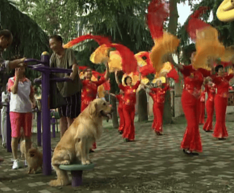 http://m.fjsenfa.cn/pics/default/download/079643ac984c965e6748d1ae262f472a.jpg