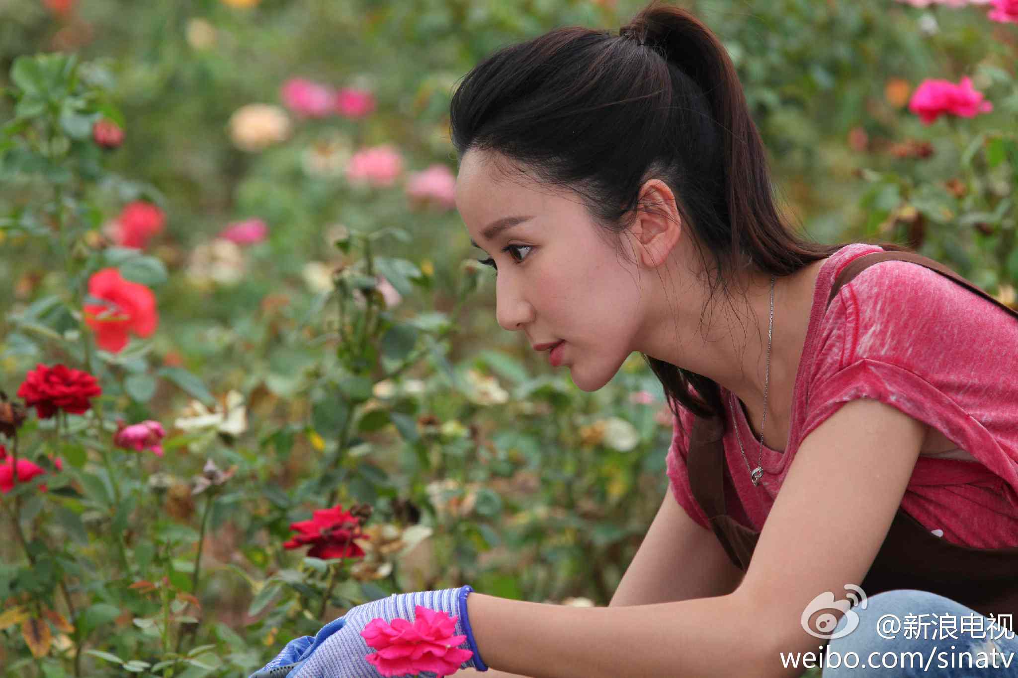http://m.fjsenfa.cn/pics/default/download/5f50505edee88b8850dfe584f6a8befd.jpg