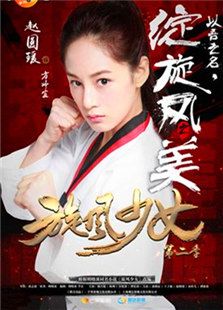 旋風(fēng)少女第二季