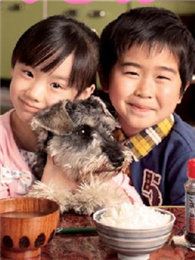 高護(hù)木的規(guī)矩SP